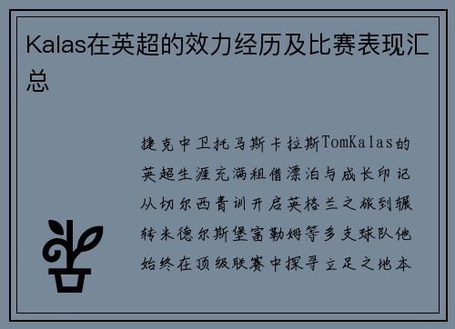 Kalas在英超的效力经历及比赛表现汇总